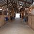 Hiwassee College Equestrian Program